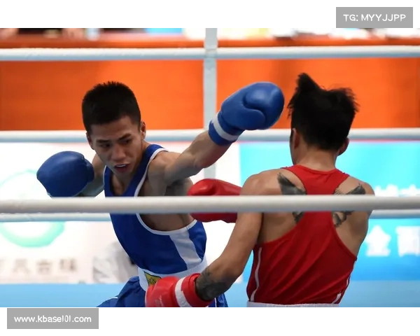 2018拳击重大赛事