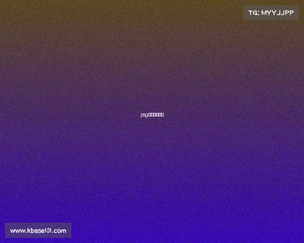 psg进世界赛了吗